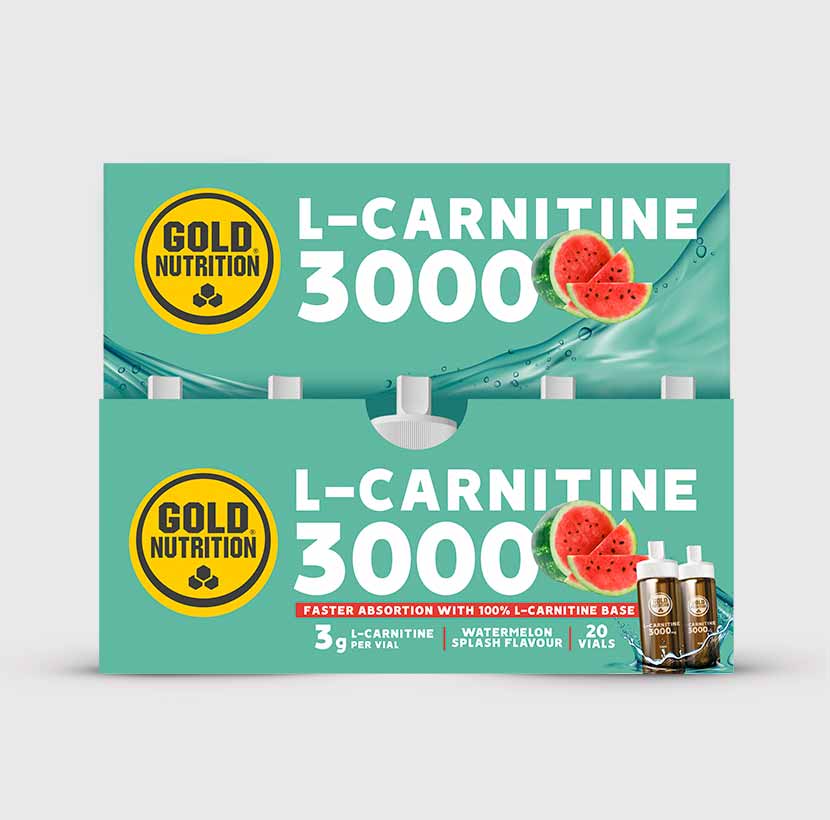 L-CARNITINA 3000
