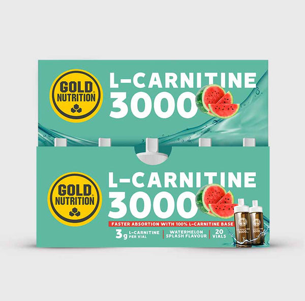 L-CARNITINA 3000 